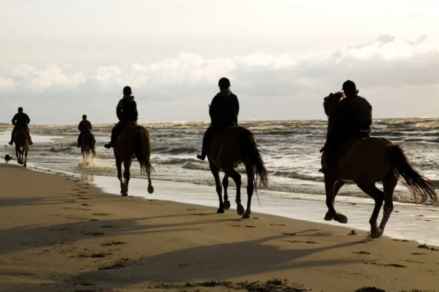 Things to do - Weatherstone House Holiday Home North Devon - Horse Riding