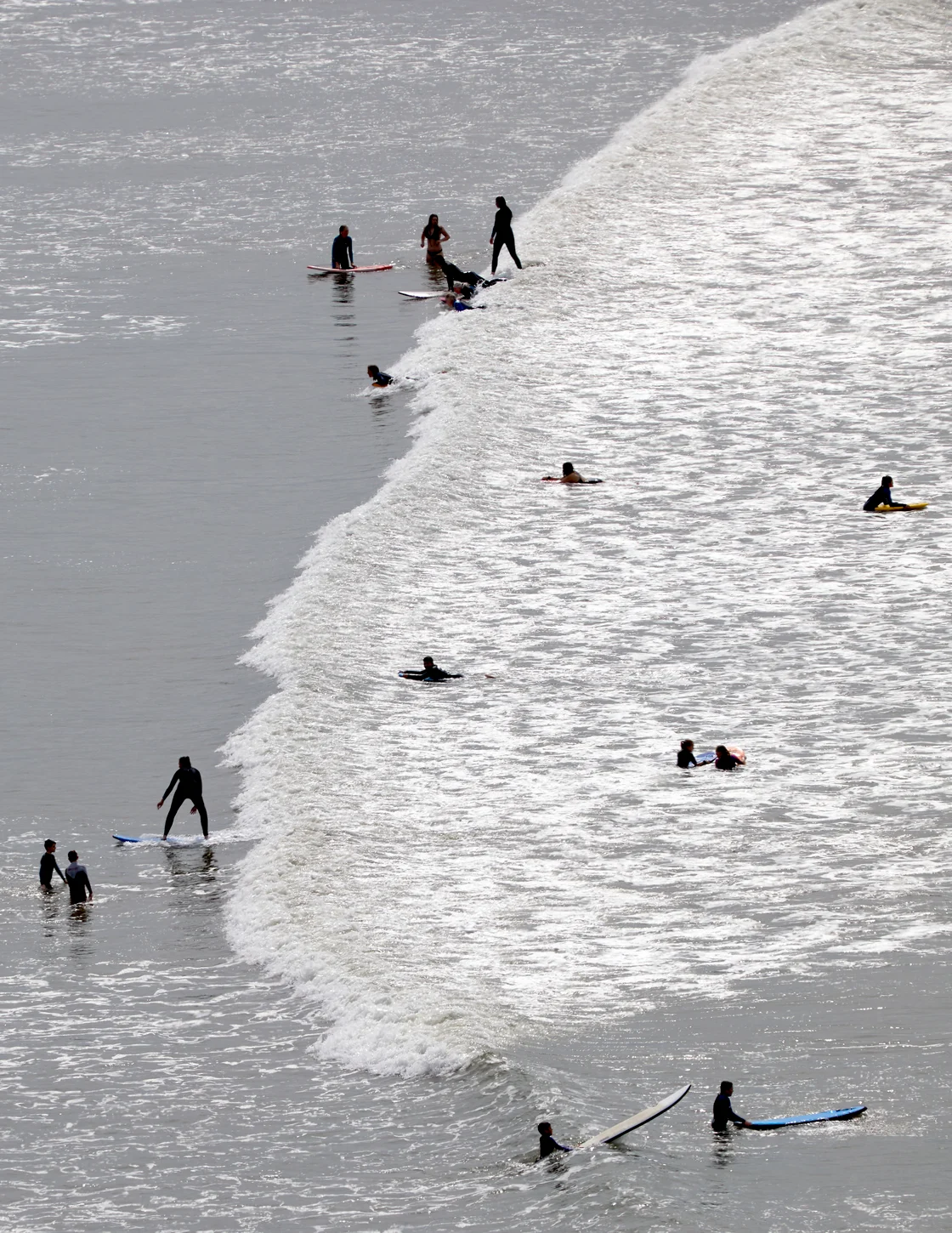 Life in the water - North Devon coastline - Book Weatherstone House for your stay